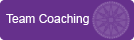 Team Coaching